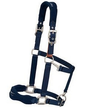 Horse Halter