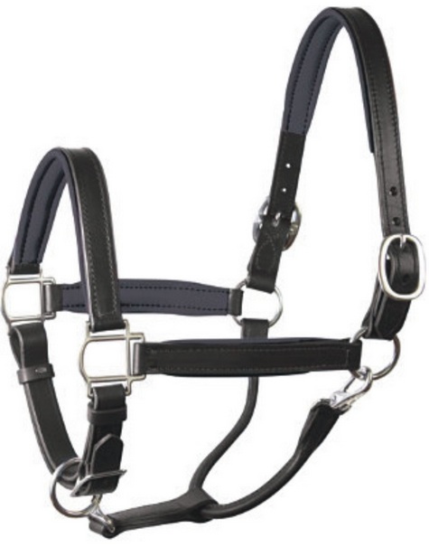 Horse Halter
